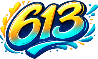 613